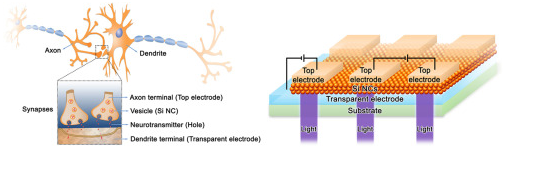 ���ڹ����׾������������̬����Ŀ�����...