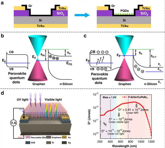 ���ӵ�/ʯīϩ/��MSM���̽�������ٹ��������о�