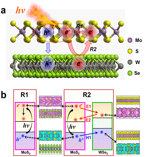 ��ά�����ȵ��Ӿ���ܻ����������ӳ�ԥ���̵�ʵ���о�